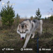 Hochgeladen am 14.11.2025 00:00:00Зиянбаева Анна 
