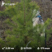  Hochgeladen am 15.11.2025 00:00:00Зиянбаева Анна 