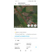  Hochgeladen am 17.11.2025 00:00:00Сорокин Юрий 