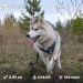  Hochgeladen am 18.11.2025 00:00:00Зиянбаева Анна 