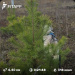  Hochgeladen am 19.11.2025 00:00:00Зиянбаева Анна 
