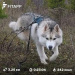  Hochgeladen am 20.11.2025 00:00:00Зиянбаева Анна 
