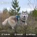  Hochgeladen am 20.11.2025 00:00:00Зиянбаева Анна 