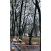 Hochgeladen am 20.11.2025 00:00:00Курицина Надежда 