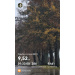  Hochgeladen am 22.11.2025 00:00:00Курицина Надежда 