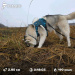  Hochgeladen am 23.11.2025 00:00:00Зиянбаева Анна 