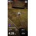  Hochgeladen am 25.11.2025 00:00:00Павликова Анастасия 