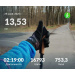  Hochgeladen am 29.11.2025 00:00:00Проскурина Эльвира 
