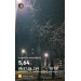  Hochgeladen am 03.12.2025 00:00:00Курицина Надежда 