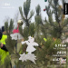  Hochgeladen am 20.12.2025 00:00:00Суворов Юрий 