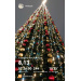  Hochgeladen am 21.12.2025 00:00:00Курицина Надежда 