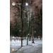  Hochgeladen am 24.12.2025 00:00:00Курицина Надежда 