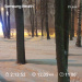  Hochgeladen am 25.12.2025 00:00:00Любовь Александровна 