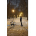  Hochgeladen am 25.12.2025 00:00:00Белякова Лилия 