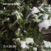  Hochgeladen am 26.12.2025 00:00:00Любовь Александровна 