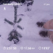  Hochgeladen am 27.12.2025 00:00:00Любовь Александровна 