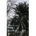  Hochgeladen am 30.12.2025 00:00:00Курицина Надежда 