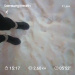  Hochgeladen am 31.12.2025 00:00:00Любовь Александровна 