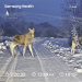  Hochgeladen am 03.01.2026 00:00:00Любовь Александровна 