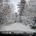  Hochgeladen am 03.01.2026 00:00:00Любовь Александровна 