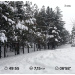 Hochgeladen am 03.01.2026 00:00:00Колупаева Екатерина 