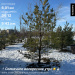  Hochgeladen am 04.01.2026 00:00:00Суворов Юрий 