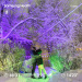  Hochgeladen am 09.01.2026 00:00:00СапуновЪ Алеѯѣй А♡А 