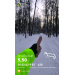  Hochgeladen am 16.01.2026 00:00:00Николаева Тиана 
