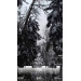  Hochgeladen am 14.01.2026 00:00:00Лебедева Яна 