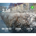  Hochgeladen am 21.01.2026 00:00:00Проскурина Эльвира 