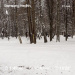  Hochgeladen am 23.01.2026 00:00:00Любовь Александровна 