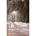  Hochgeladen am 27.01.2026 00:00:00Головина Елизавета 