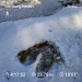  Hochgeladen am 31.01.2026 00:00:00Любовь Александровна 