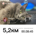  Hochgeladen am 05.02.2026 00:00:00Рягузова Марина 
