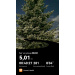  Hochgeladen am 08.02.2026 00:00:00Исаева Алена 