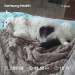  Hochgeladen am 09.02.2026 00:00:00Любовь Александровна 