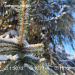  Hochgeladen am 15.02.2026 00:00:00Любовь Александровна 
