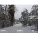  Hochgeladen am 15.02.2026 00:00:00Скребова Елена 
