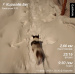  Hochgeladen am 16.02.2026 00:00:00Павликова Анастасия 