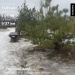  Hochgeladen am 17.02.2026 00:00:00Суворов Юрий 