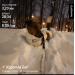  Hochgeladen am 19.02.2026 00:00:00Павликова Анастасия 