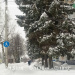  Hochgeladen am 20.02.2026 00:00:00Любовь Александровна 
