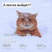  Hochgeladen am 20.02.2026 00:00:00Зверева Оксана 