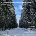  Hochgeladen am 21.02.2026 00:00:00Березовская Екатерина 