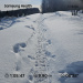  Загрузка от 23.02.2026 00:00:00 Колпак Роман 