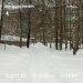  Hochgeladen am 25.02.2026 00:00:00Любовь Александровна 