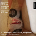  Загрузка от 05.03.2026 00:00:00 Березовская Екатерина 