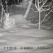  Загрузка от 08.03.2026 00:00:00 Жафярова Вера 