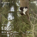  Hochgeladen am 10.03.2026 00:00:00Зверева Оксана 