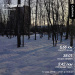  Hochgeladen am 12.03.2026 00:00:00Киселева Юлиана 